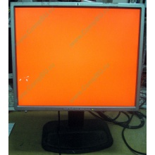 Монитор 19" TFT HP 1955 (DVI в Сызрани, USB-хаб) "квадратный" (Сызрань)