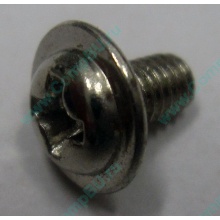 Компьютерный винт "малый" PW-M3x6mm (Сызрань)