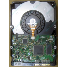 HDD Sun 500G 500Gb в Сызрани, FRU 540-7889-01 в Сызрани, BASE 390-0383-04 в Сызрани, AssyID 0069FMT-1010 в Сызрани, HUA7250SBSUN500G (Сызрань)
