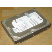 HP 250G 7.2k 432337-001/ 399699-001 / 397377-004 SATA HDD (Сызрань)