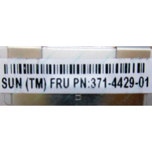 Серверная память SUN (FRU PN 371-4429-01) 4096Mb (4Gb) DDR3 ECC в Сызрани, память для сервера SUN FRU P/N 371-4429-01 (Сызрань)
