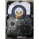 Жесткий диск 18.2Gb IBM Ultrastar DDYS-T18350 Ultra3 SCSI (Сызрань)