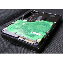 Жесткий диск 600Gb 15k Dell 9FN066-008 6G SAS ( Seagate Cheetach ST3600057SS 15K.7) - Сызрань