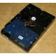 Электроника HDD 500Gb Hitachi HDS721050DLE630 (Сызрань)