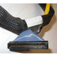 Кабель SCSI HP 166298-037 для HP ML370 G4 (Сызрань)