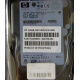 Жёсткий диск 146.8Gb HP 365695-008 404708-001 BD14689BB9 256716-B22 MAW3147NC 10000 rpm Ultra320 Wide SCSI купить в Сызрани, цена (Сызрань).