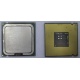 Процессор Intel Celeron D 336 (2.8GHz /256kb /533MHz) SL98W s.775 (Сызрань)