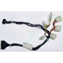 59P4789 FRU 59P4792 в Сызрани, кабель IBM 59P4789 FRU 59P4792 для серверов X225 (Сызрань)