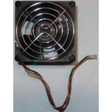 Вентилятор EFB0812HHE IBM 59P23B1 FRU 59P2572 (Сызрань)