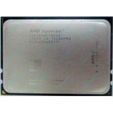 AMD Opteron 6128 OS6128WKT8EGO (Сызрань)