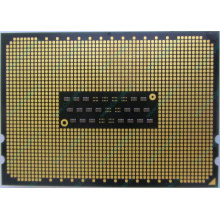 AMD Opteron 6128 OS6128WKT8EGO (Сызрань)